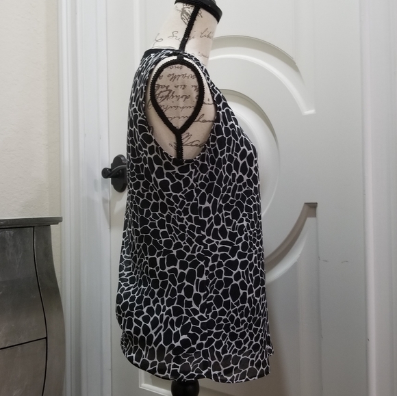 Dana Buchman - Picture 3 of 7